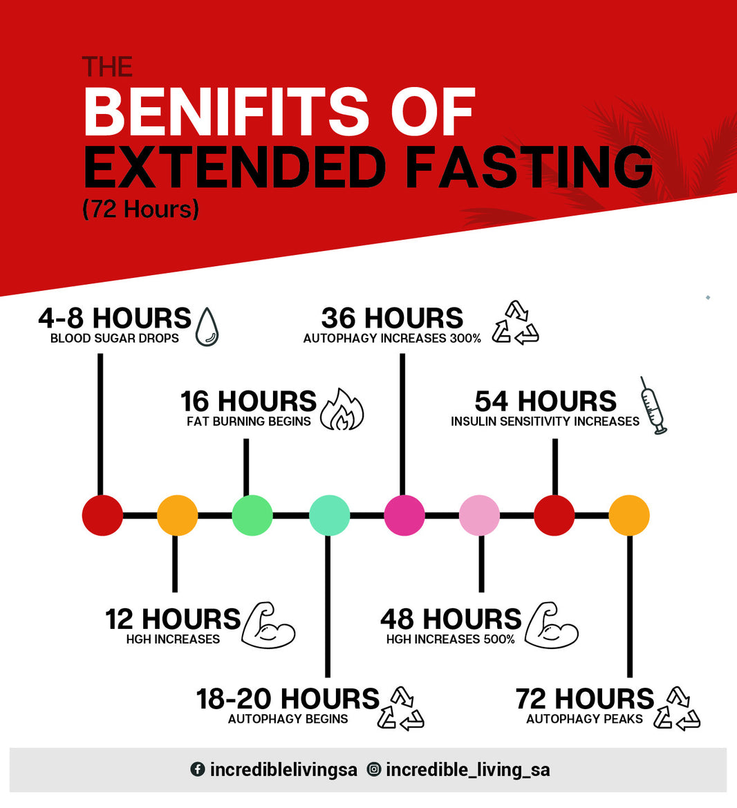 The Power of Extended Fasting: Unveiling the Benefits of a 72-Hour